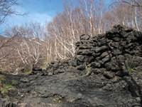 rra delle Concazze-201100508 001